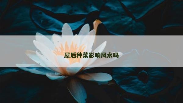 屋后種菜影響風水嗎