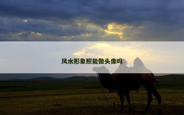 風水形象照能做頭像嗎 風水形象照能做頭像嗎