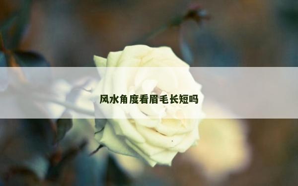風水角度看眉毛長短嗎