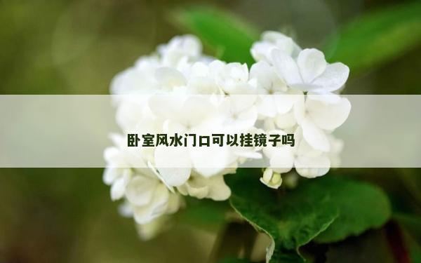 臥室風水門口可以掛鏡子嗎 臥室風水門口可以掛鏡子嗎