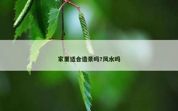家里適合造景嗎?風水嗎