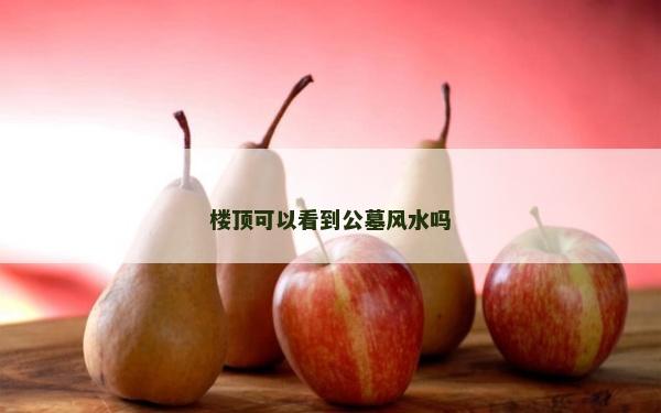 樓頂可以看到公墓風水嗎