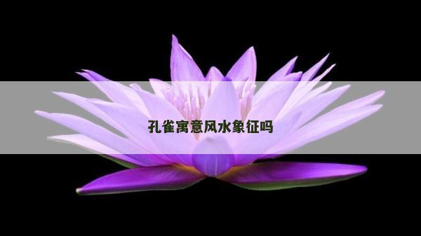 孔雀寓意風水象征嗎