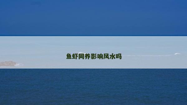 魚蝦同養影響風水嗎