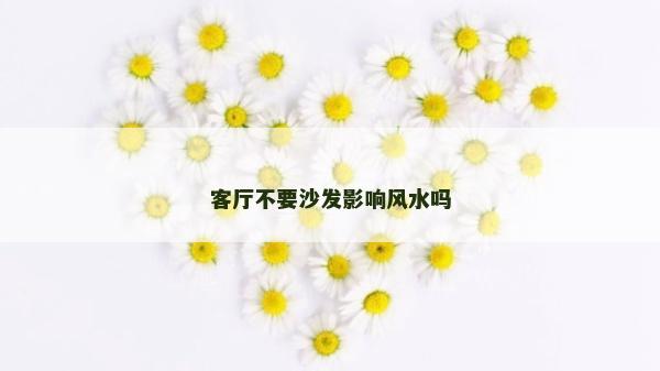 客廳不要沙發影響風水嗎 客廳不要沙發影響風水嗎