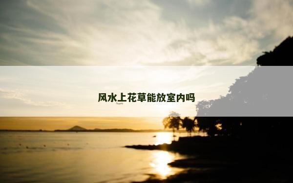 風水上花草能放室內嗎