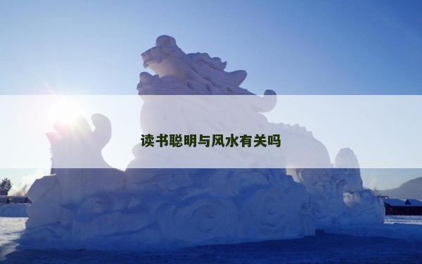 讀書(shū)聰明與風(fēng)水有關(guān)嗎