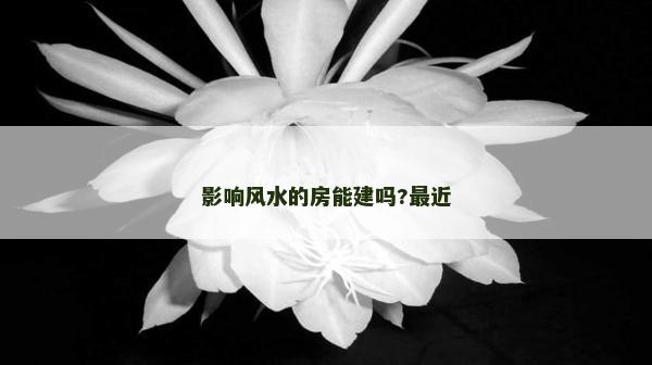 影響風水的房能建嗎?最近