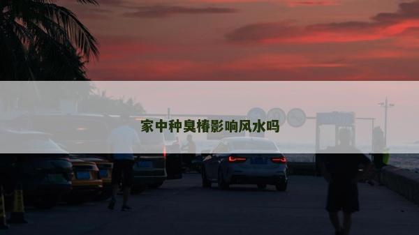 家中種臭椿影響風水嗎