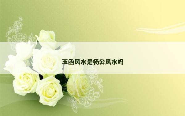 玉函風(fēng)水是楊公風(fēng)水嗎