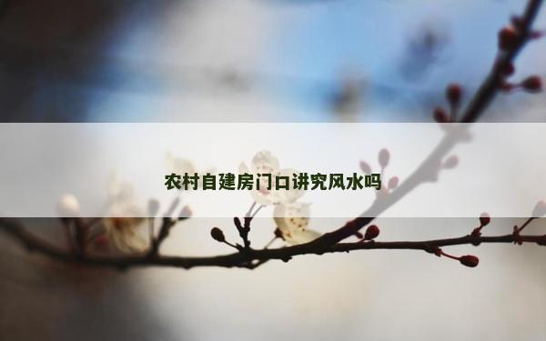 農(nóng)村自建房門口講究風水嗎