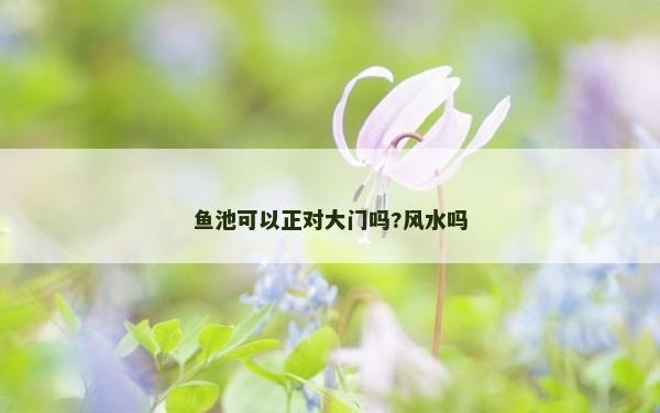 魚池可以正對大門嗎?風水嗎