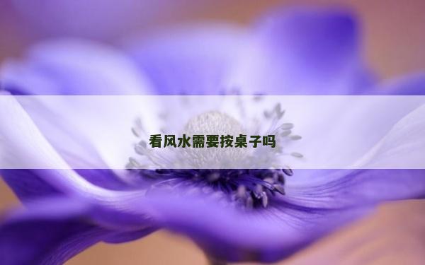 看風水需要按桌子嗎