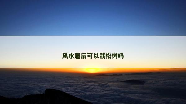 風水屋后可以栽松樹嗎