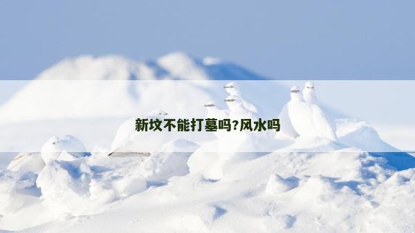 新墳不能打墓嗎?風水嗎