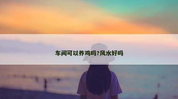 車間可以養雞嗎?風水好嗎