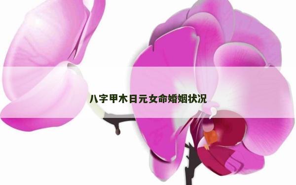 八字甲木日元女命婚姻狀況