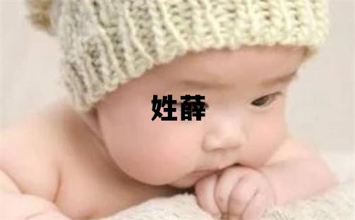 姓薛叫什么名字好 姓薛的男孩有靈氣的名字