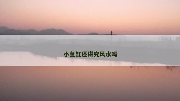 小魚缸還講究風水嗎