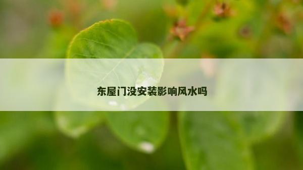 東屋門沒安裝影響風水嗎