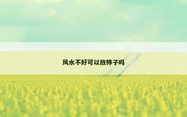 風(fēng)水不好可以放柿子嗎