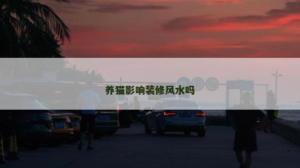 養貓影響裝修風水嗎 養貓影響裝修風水嗎