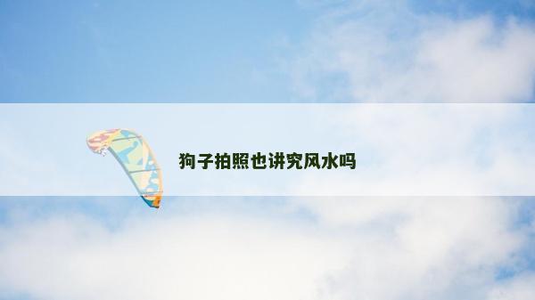 狗子拍照也講究風水嗎