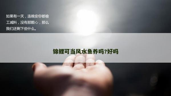 錦鯉可當風水魚養嗎?好嗎