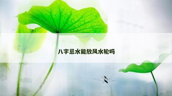 八字忌水能放風水輪嗎