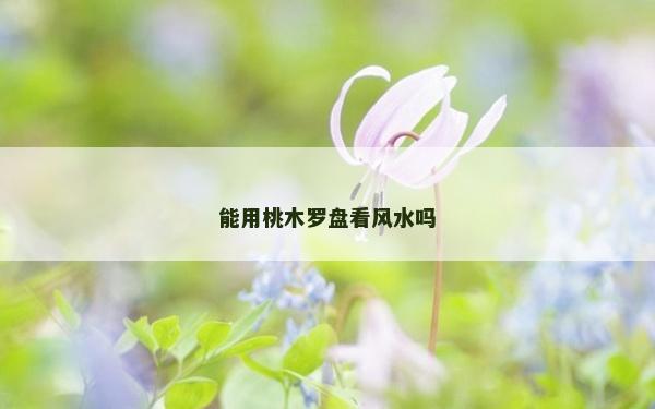 能用桃木羅盤看風水嗎 能用桃木羅盤看風水嗎