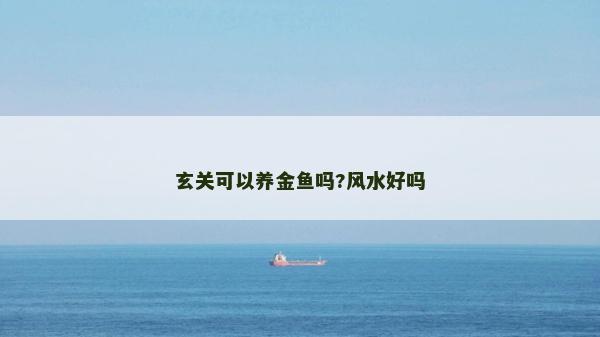 玄關可以養金魚嗎?風水好嗎