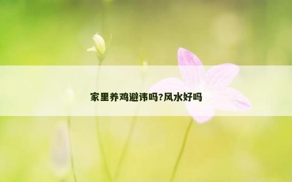 家里養雞避諱嗎?風水好嗎