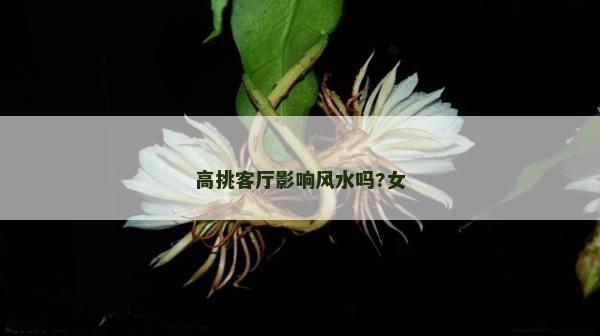 高挑客廳影響風水嗎?女