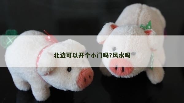 北邊可以開個小門嗎?風水嗎 北邊可以開個小門嗎?風水嗎