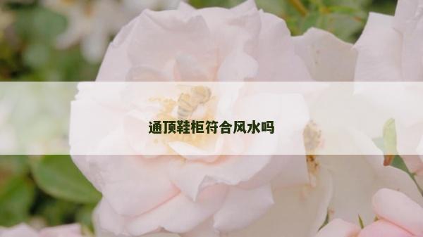 通頂鞋柜符合風水嗎 通頂鞋柜符合風水嗎