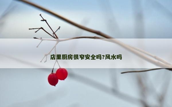店里廚房很窄安全嗎?風水嗎 店里廚房很窄安全嗎?風水嗎
