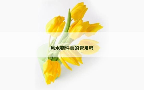 風水物件真的管用嗎