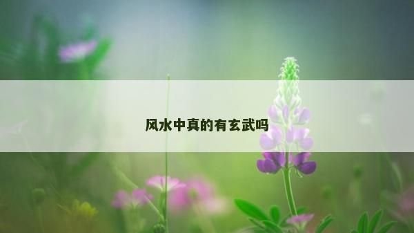 風水中真的有玄武嗎