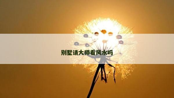 別墅請大師看風(fēng)水嗎