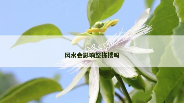 風水會影響整棟樓嗎
