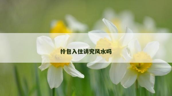 拎包入住講究風水嗎