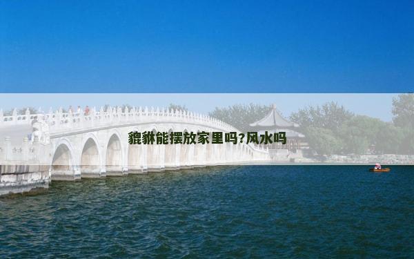 貔貅能擺放家里嗎?風水嗎