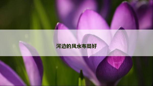河邊的風水布局好