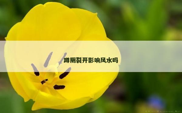 蹲廁裂開影響風(fēng)水嗎 蹲廁裂開影響風(fēng)水嗎