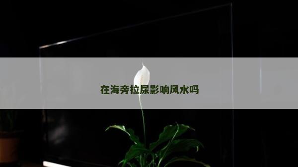 在海旁拉尿影響風水嗎 在海旁拉尿影響風水嗎