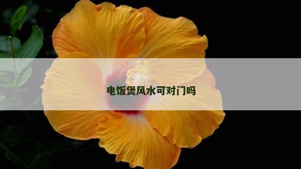 電飯煲風(fēng)水可對(duì)門嗎