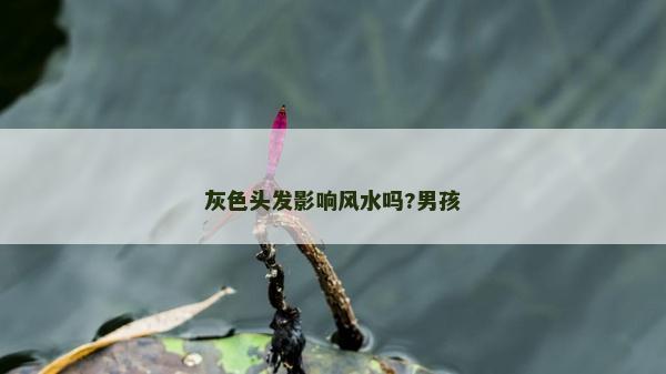 灰色頭發影響風水嗎?男孩 灰色頭發影響風水嗎?男孩