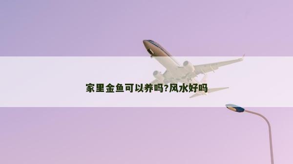 家里金魚可以養(yǎng)嗎?風(fēng)水好嗎
