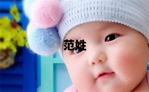 范姓有智慧才氣的男孩名字,取什么名字好