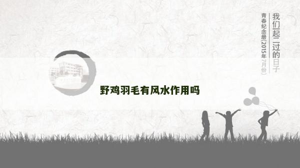 野雞羽毛有風(fēng)水作用嗎